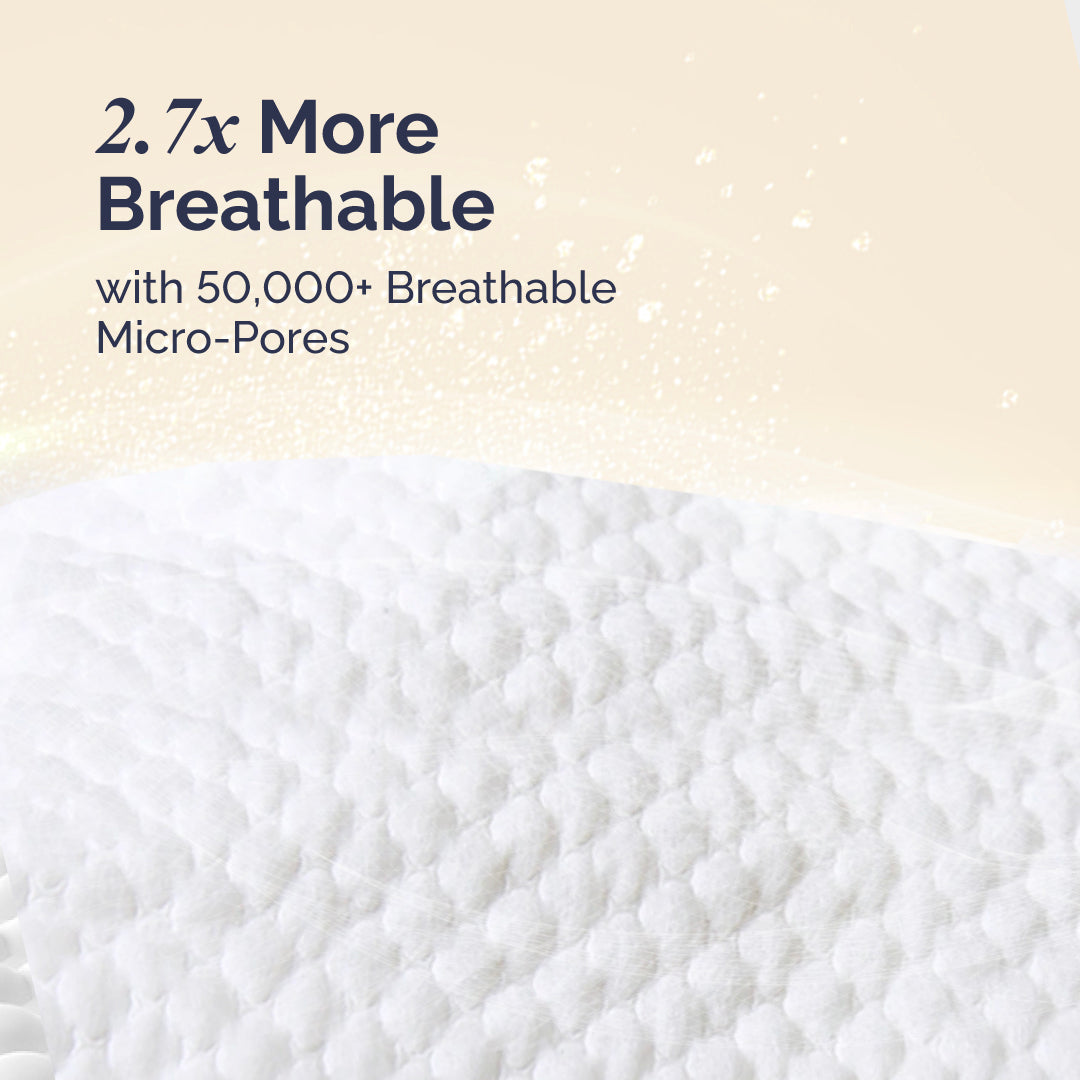 Royal Dream Pants - Trial Pack/Travel Pack (2 Pieces)